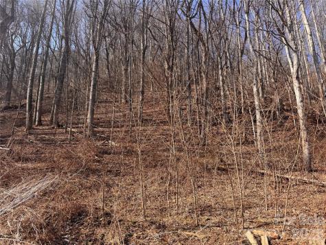 00 S Us 19 Highway E Newland NC 28657