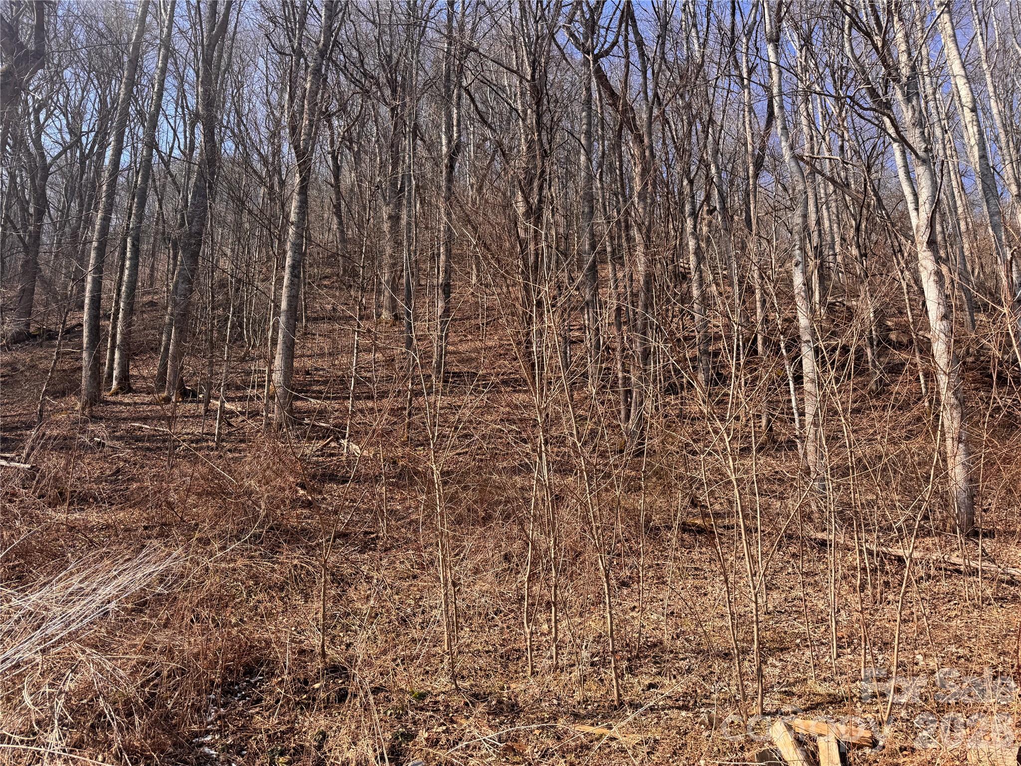 00 S Us 19 Highway E Newland NC 28657