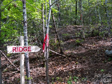 31 Caddis Court Marshall NC 28753