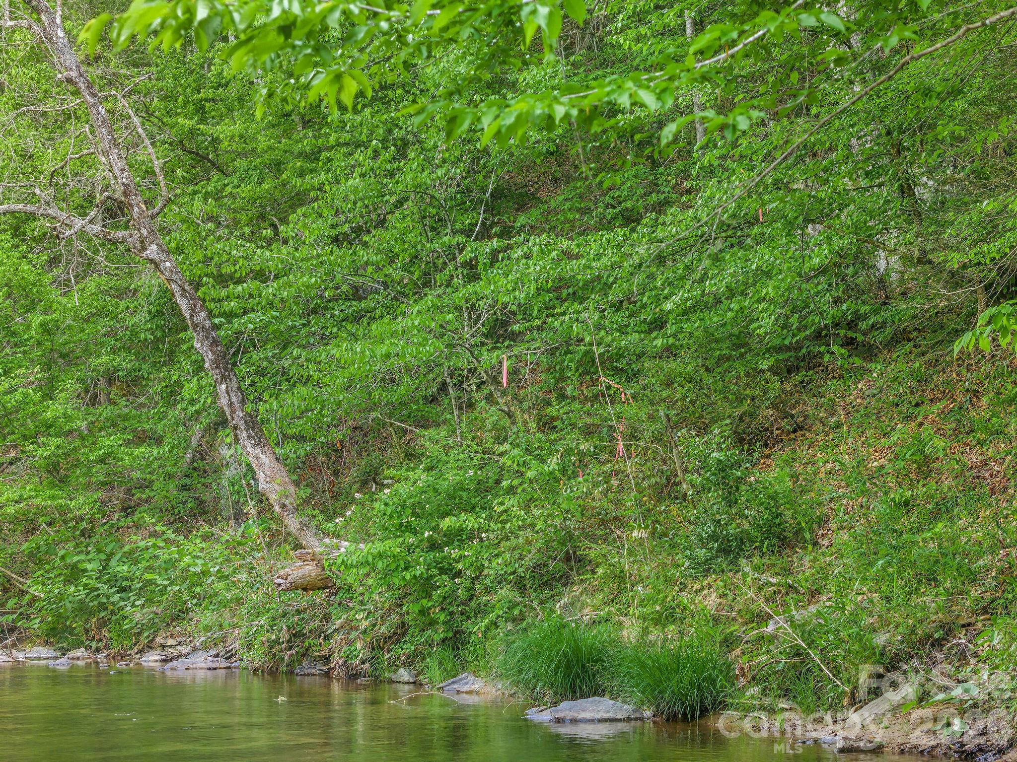 31 Caddis Court Marshall NC 28753