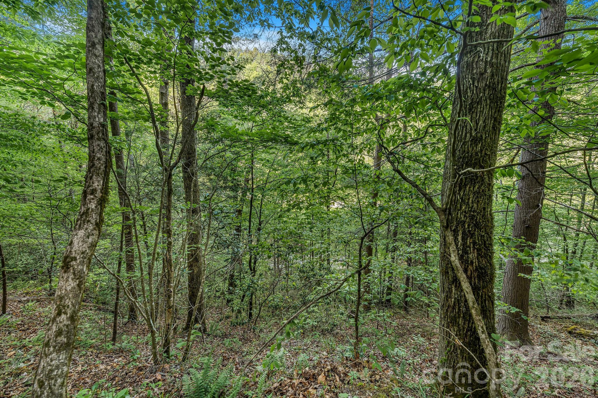 31 Caddis Court Marshall NC 28753