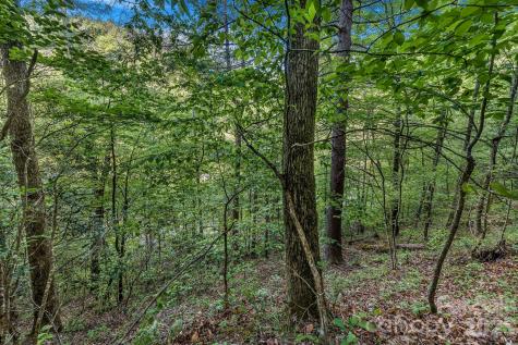 31 Caddis Court Marshall NC 28753