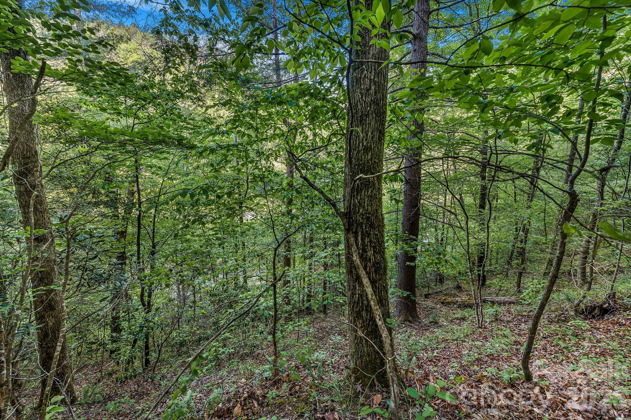 31 Caddis Court Marshall NC 28753