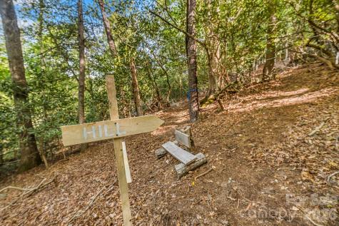 31 Caddis Court Marshall NC 28753