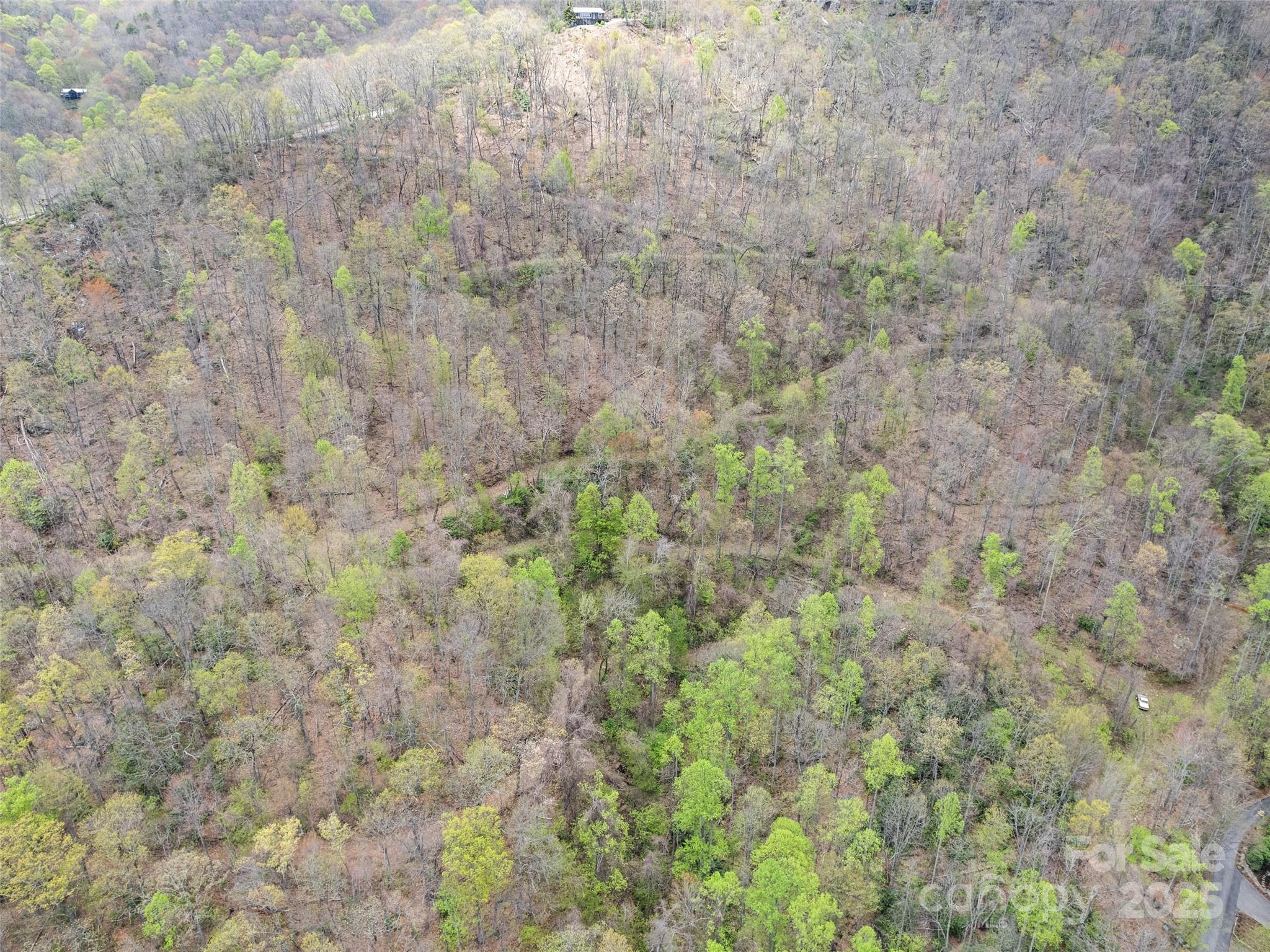 Tbd Laurel Ridge Drive Maggie Valley NC 28786
