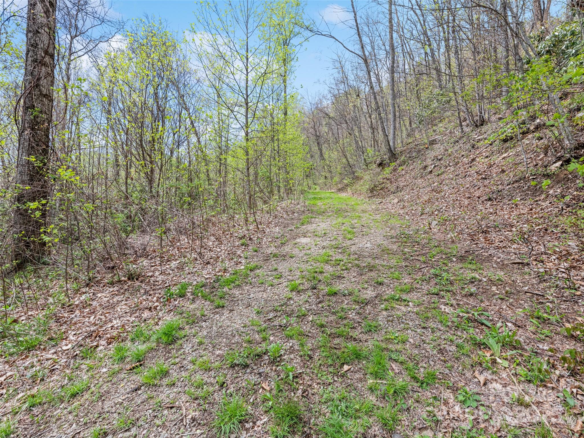 Tbd Laurel Ridge Drive Maggie Valley NC 28786