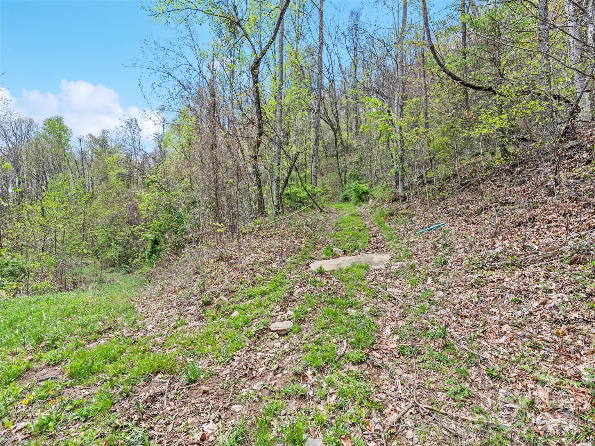 Tbd Laurel Ridge Drive Maggie Valley NC 28786