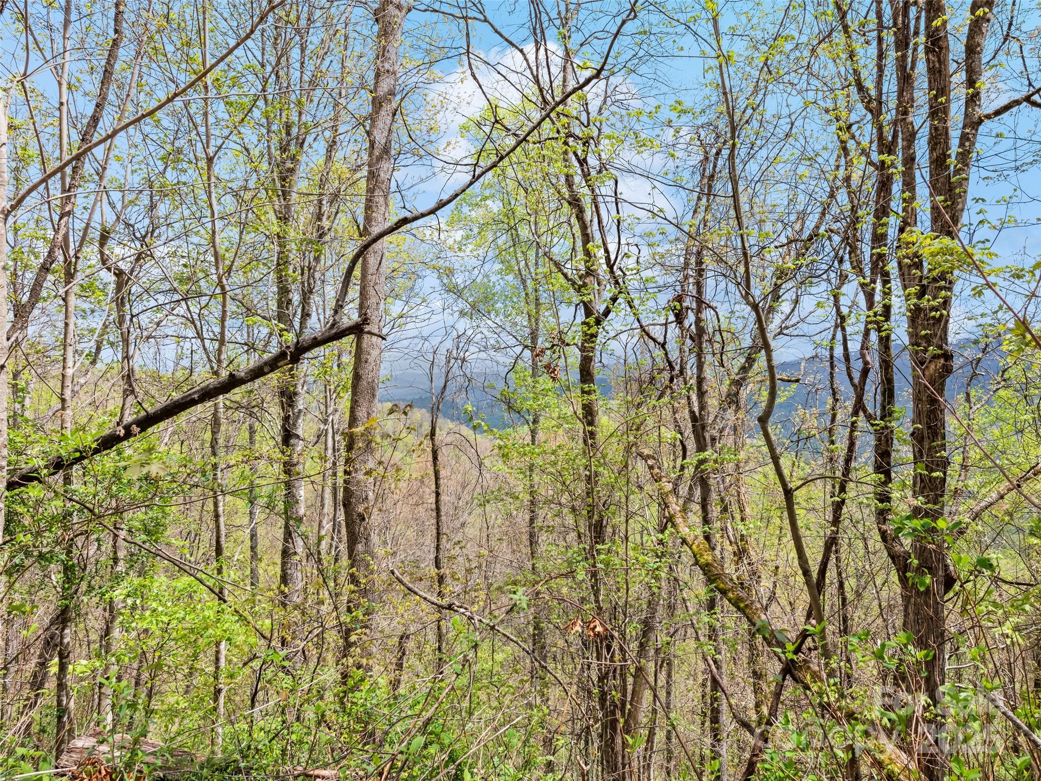Tbd Laurel Ridge Drive Maggie Valley NC 28786