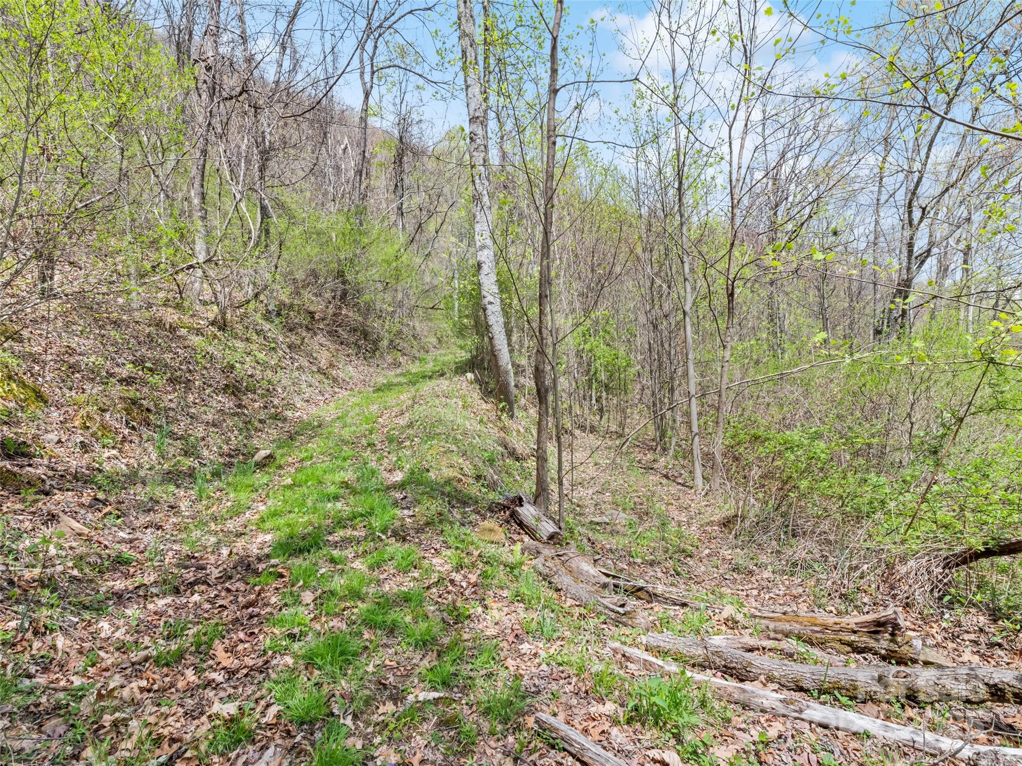 Tbd Laurel Ridge Drive Maggie Valley NC 28786