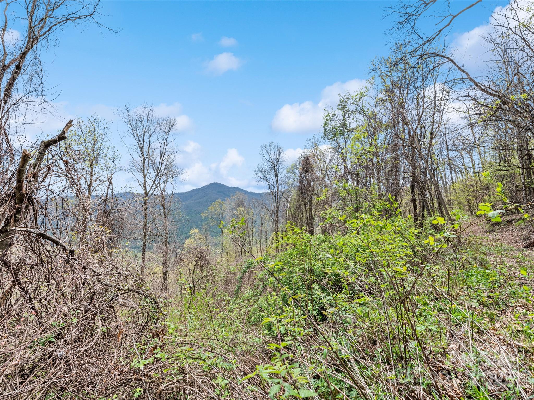 Tbd Laurel Ridge Drive Maggie Valley NC 28786