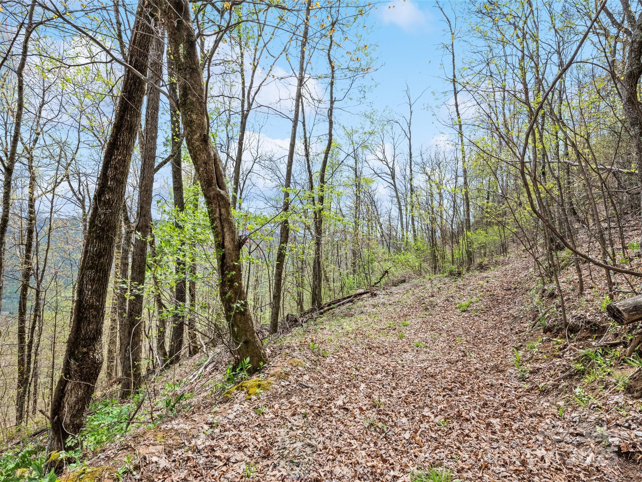 Tbd Laurel Ridge Drive Maggie Valley NC 28786