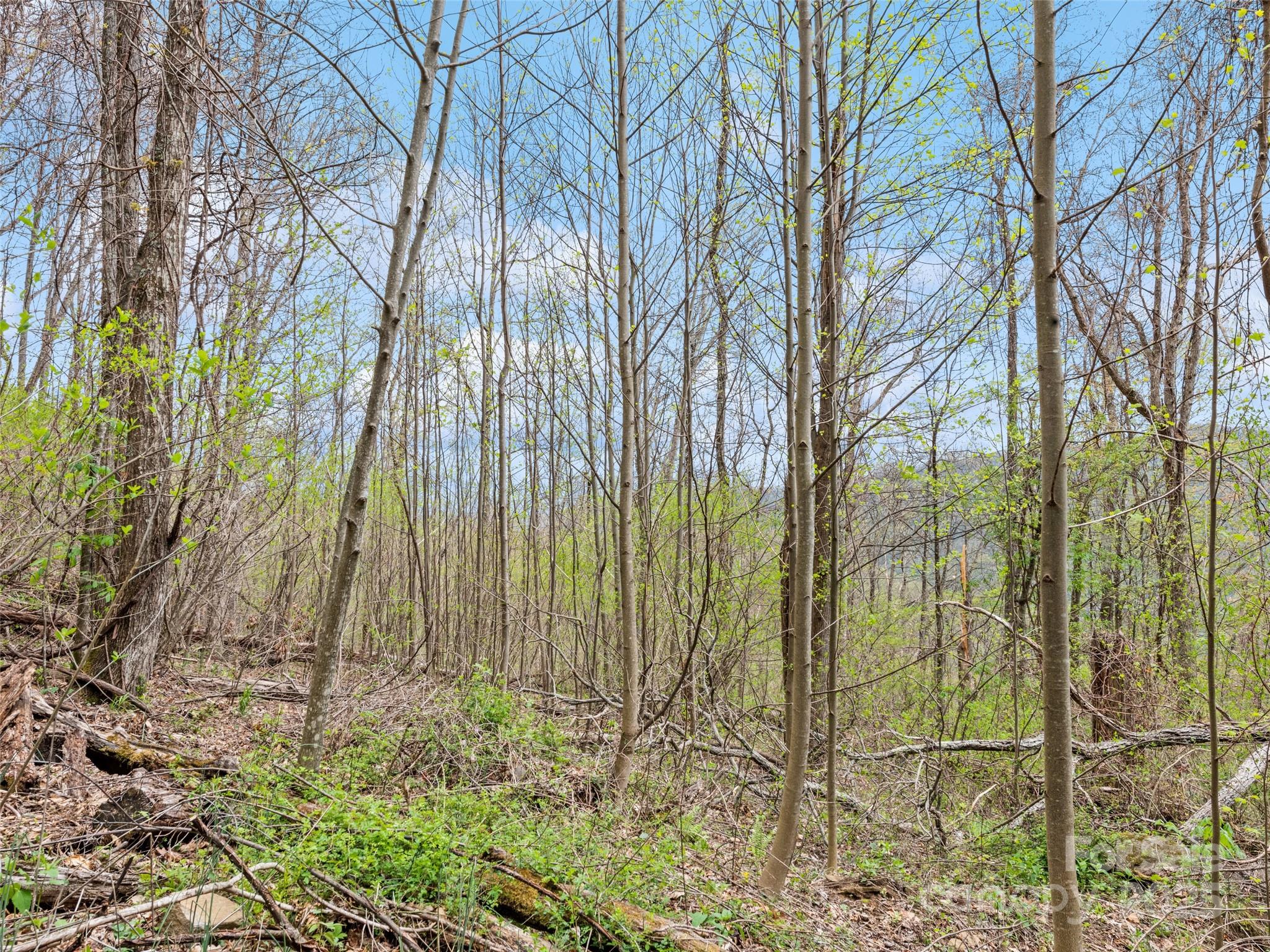 Tbd Laurel Ridge Drive Maggie Valley NC 28786