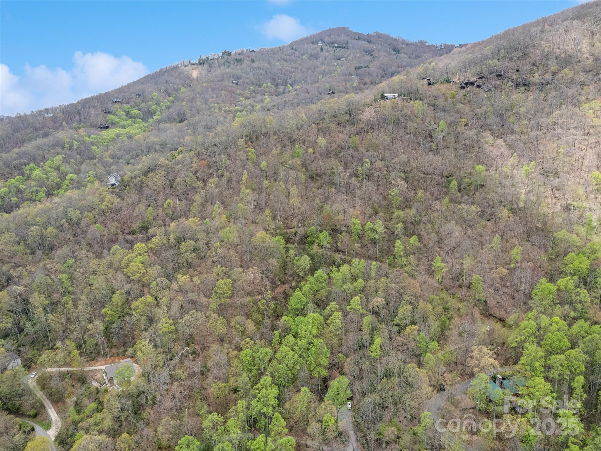 Tbd Laurel Ridge Drive Maggie Valley NC 28786