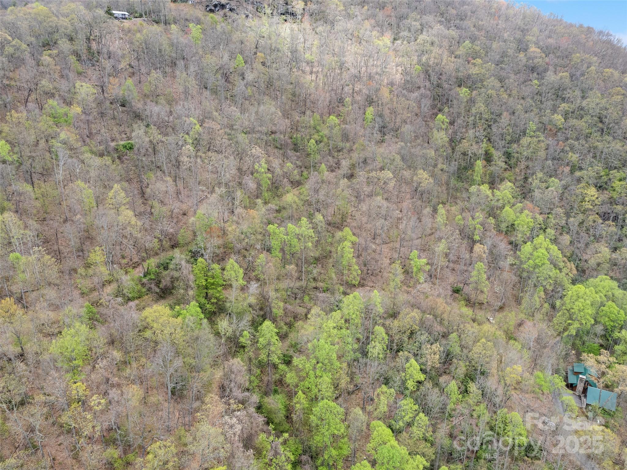 Tbd Laurel Ridge Drive Maggie Valley NC 28786