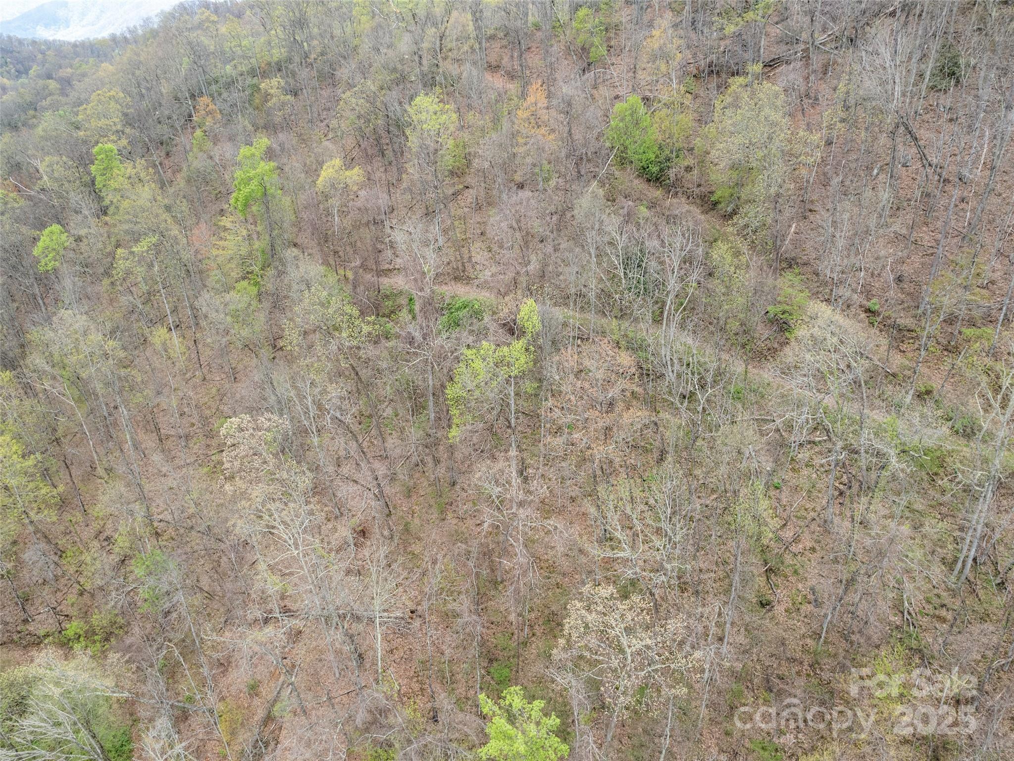 Tbd Laurel Ridge Drive Maggie Valley NC 28786