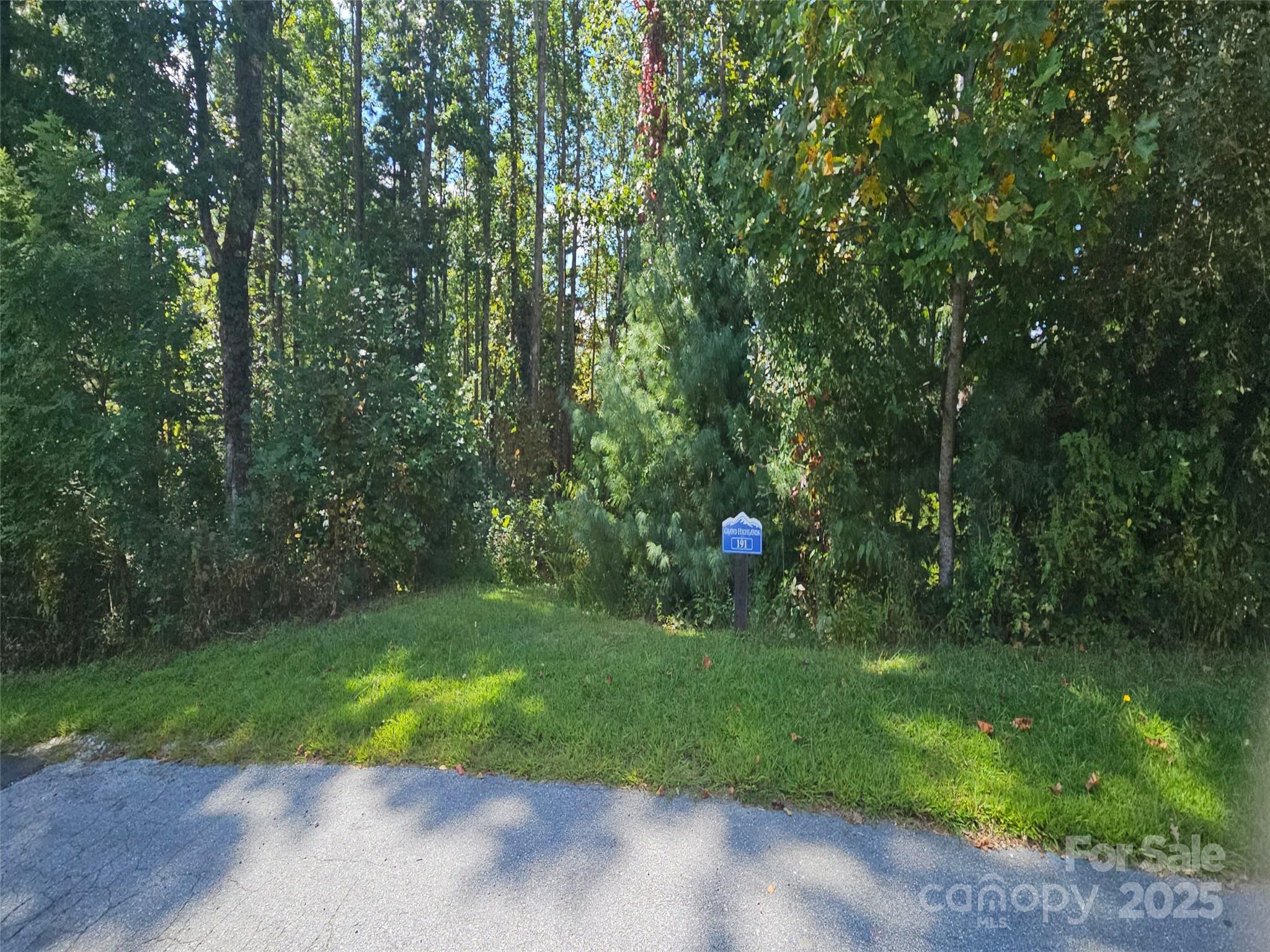 00 Bearwallow Mountain Drive Hendersonville NC 28792