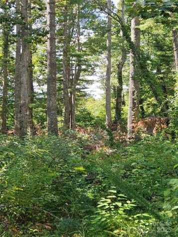 00 Bearwallow Mountain Drive Hendersonville NC 28792