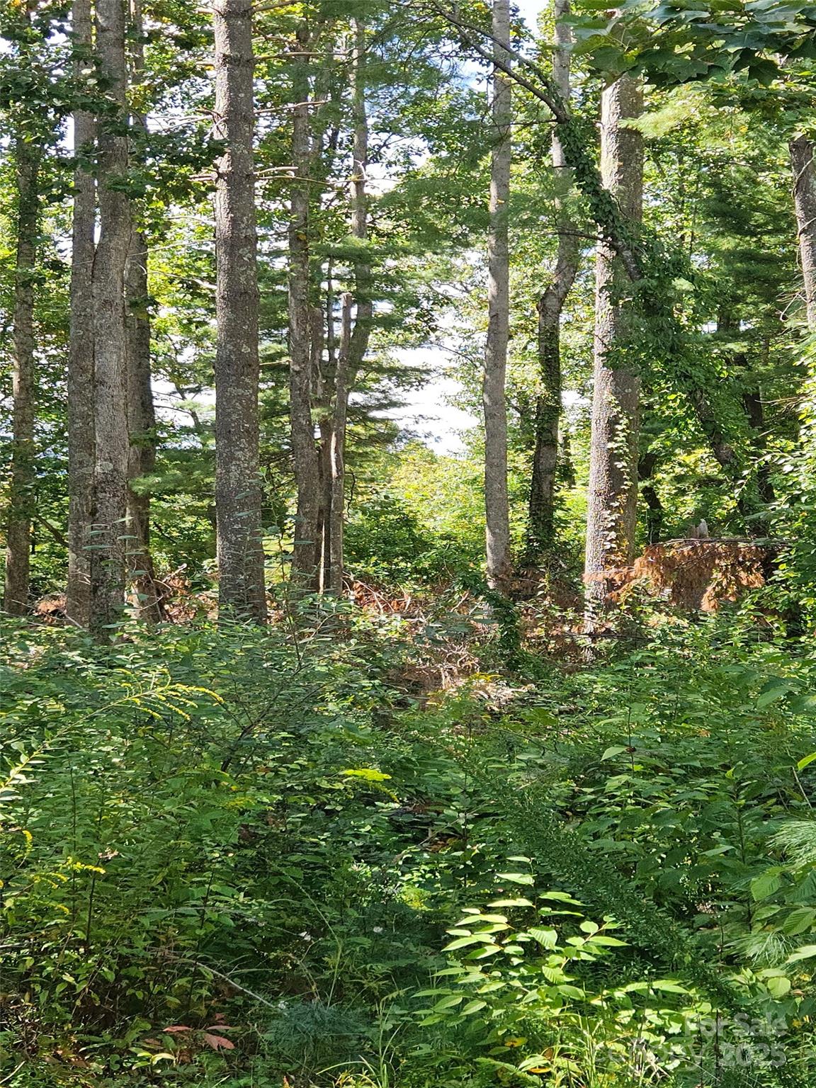 00 Bearwallow Mountain Drive Hendersonville NC 28792