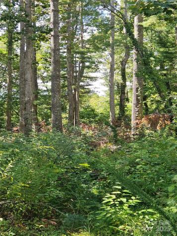 00 Bearwallow Mountain Drive Hendersonville NC 28792