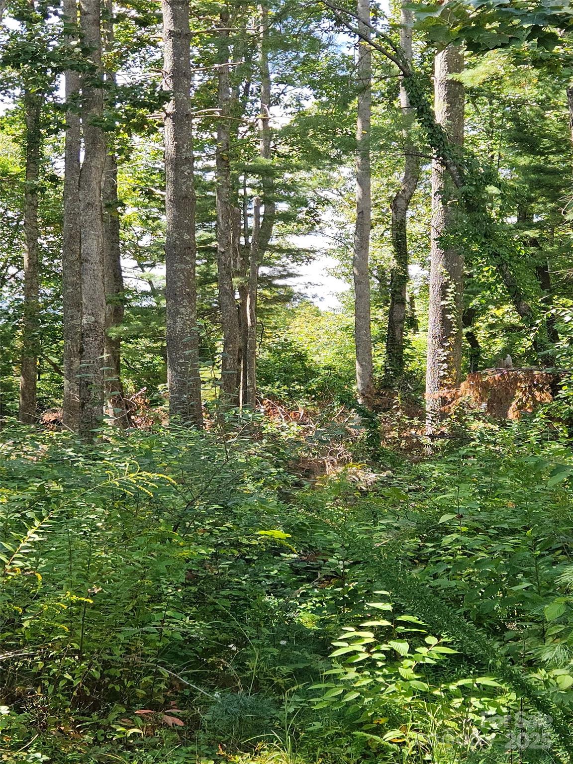 00 Bearwallow Mountain Drive Hendersonville NC 28792
