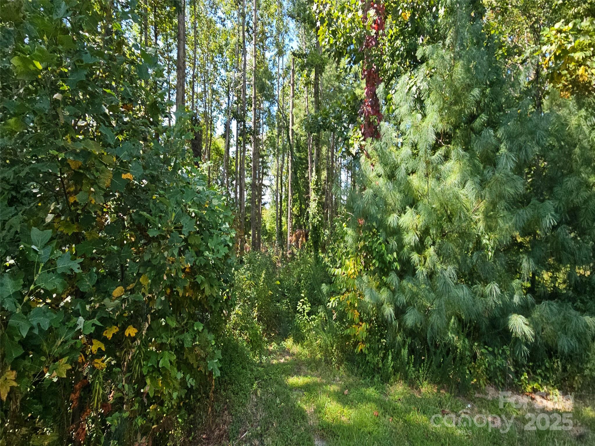 00 Bearwallow Mountain Drive Hendersonville NC 28792