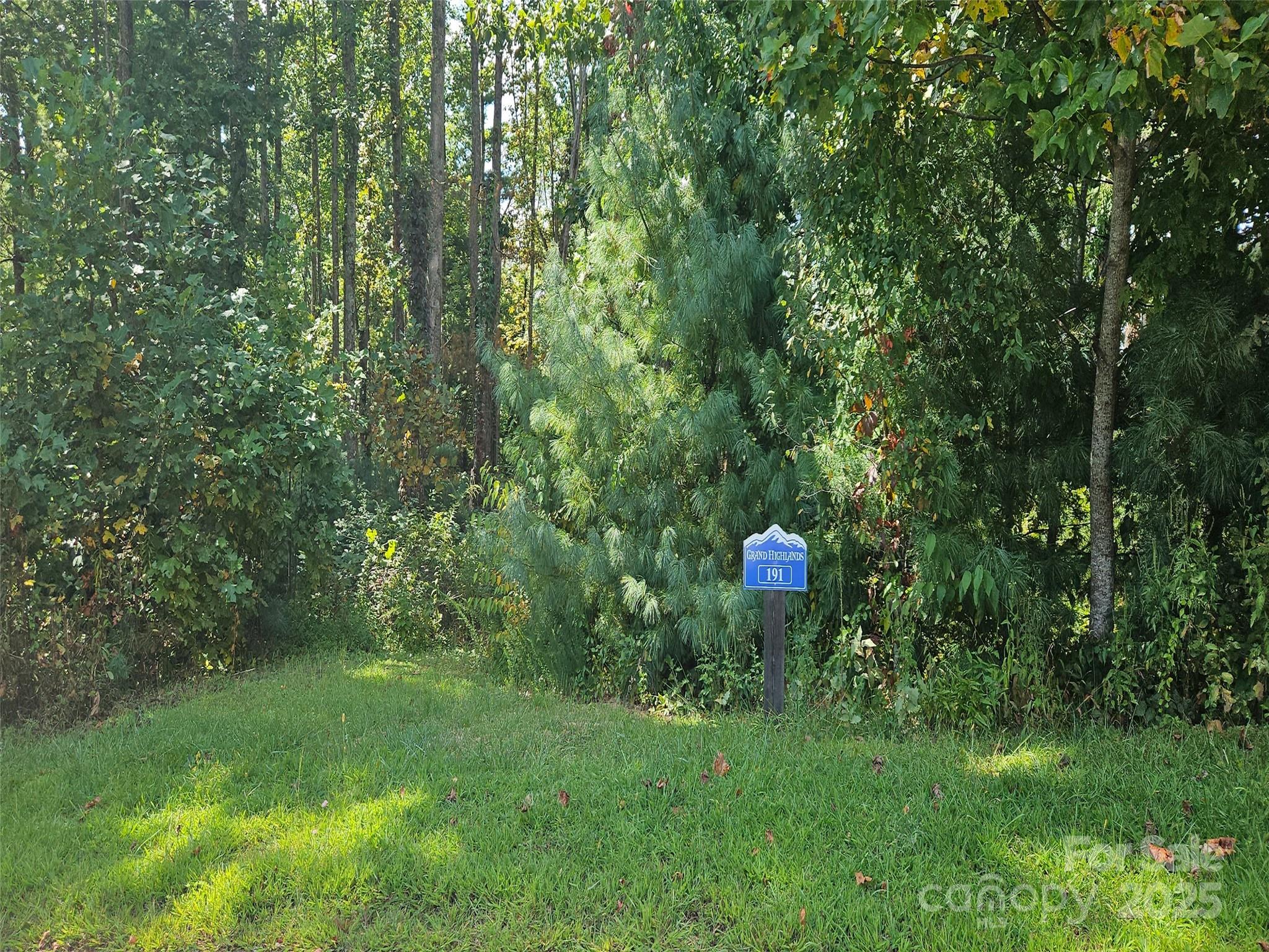 00 Bearwallow Mountain Drive Hendersonville NC 28792