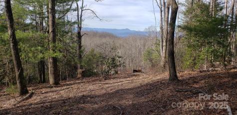 00 Bearwallow Mountain Drive Hendersonville NC 28792