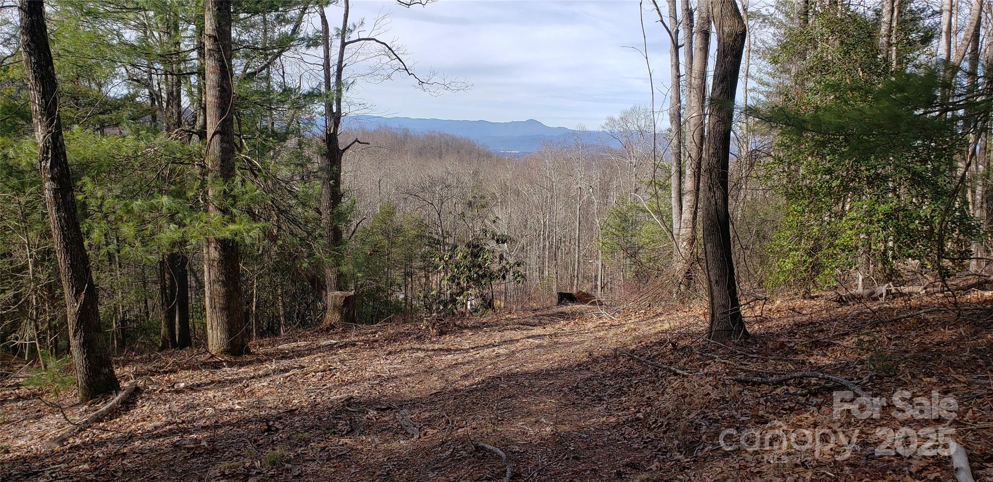 00 Bearwallow Mountain Drive Hendersonville NC 28792