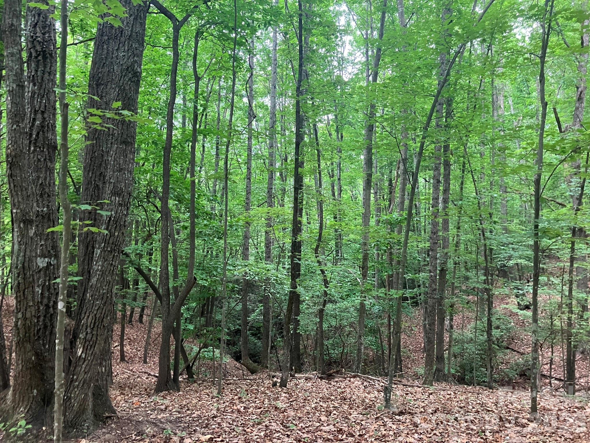 00 Saratoga Drive Nebo NC 28761