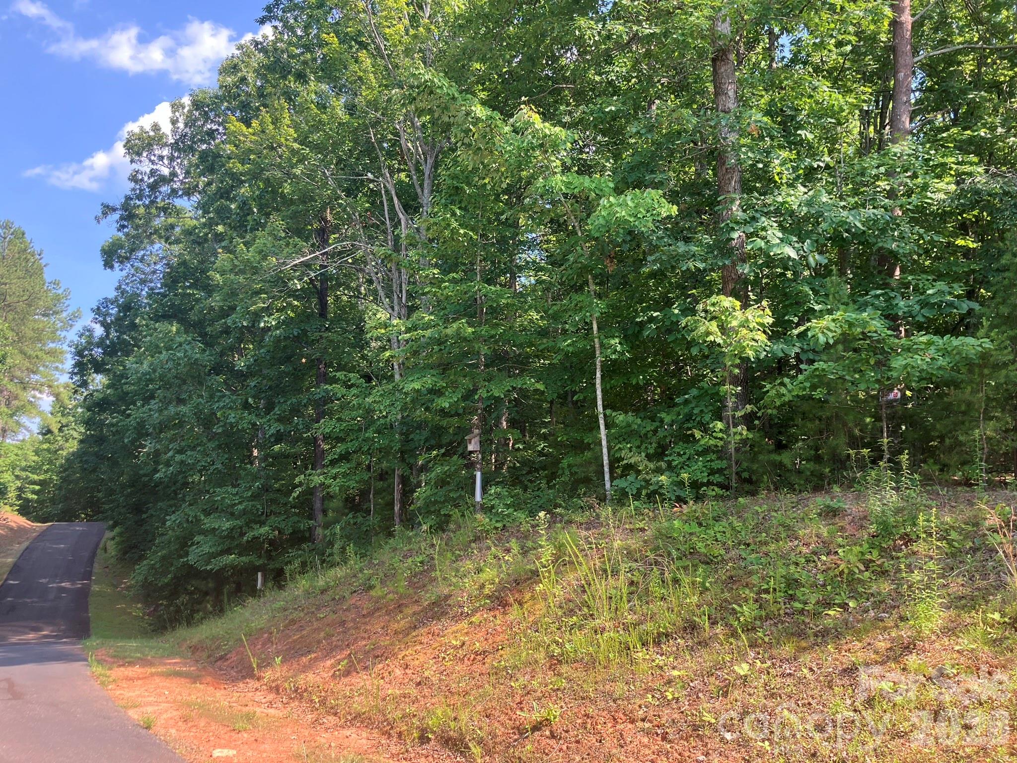 00 Saratoga Drive Nebo NC 28761