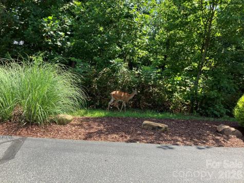 00 Saratoga Drive Nebo NC 28761