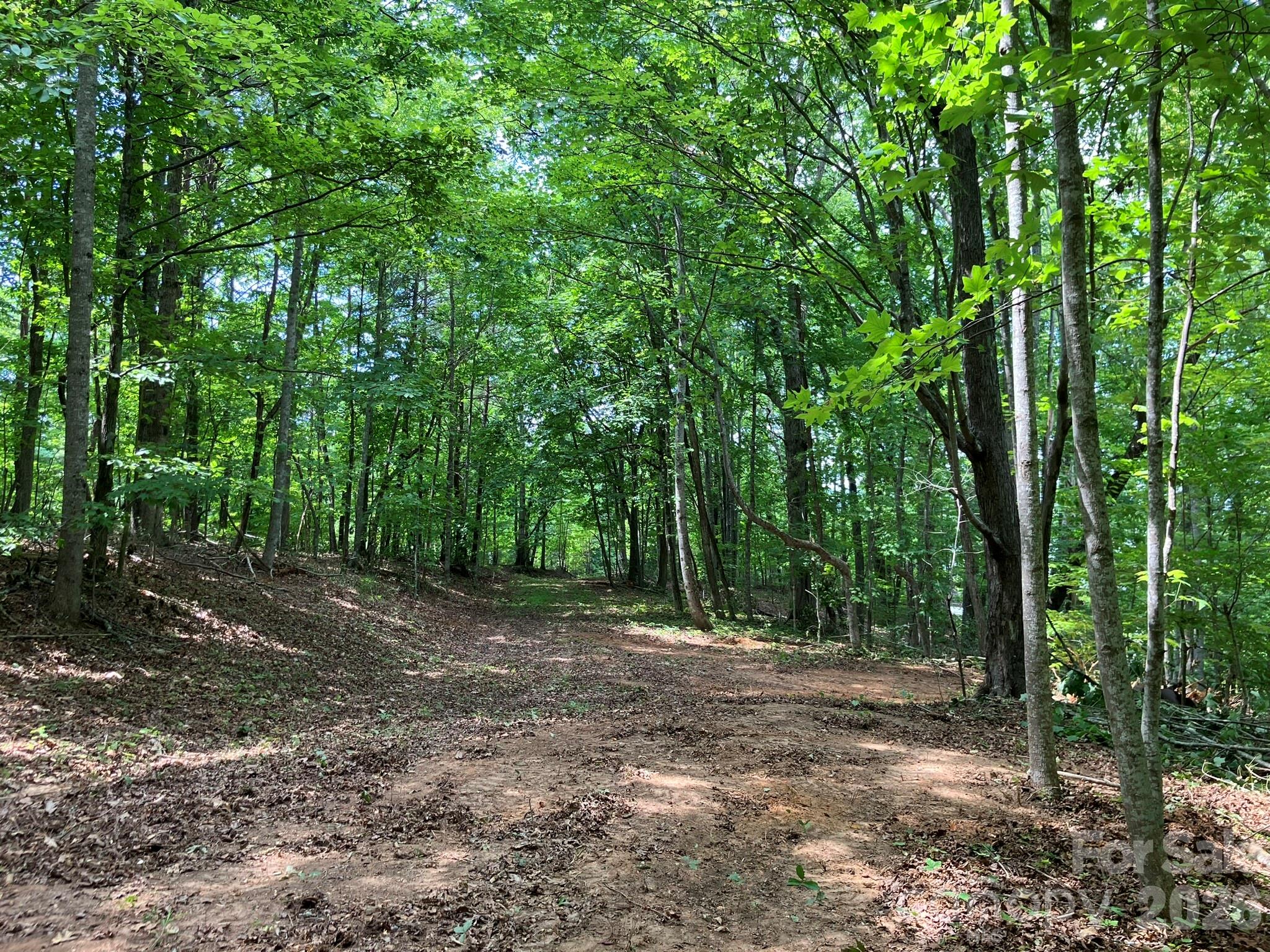 00 Saratoga Drive Nebo NC 28761