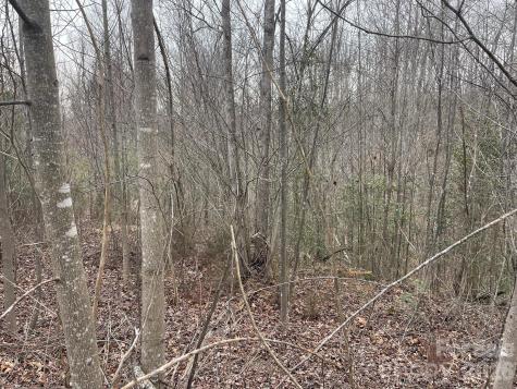 0 Jim Mccall Road Morganton NC 28655