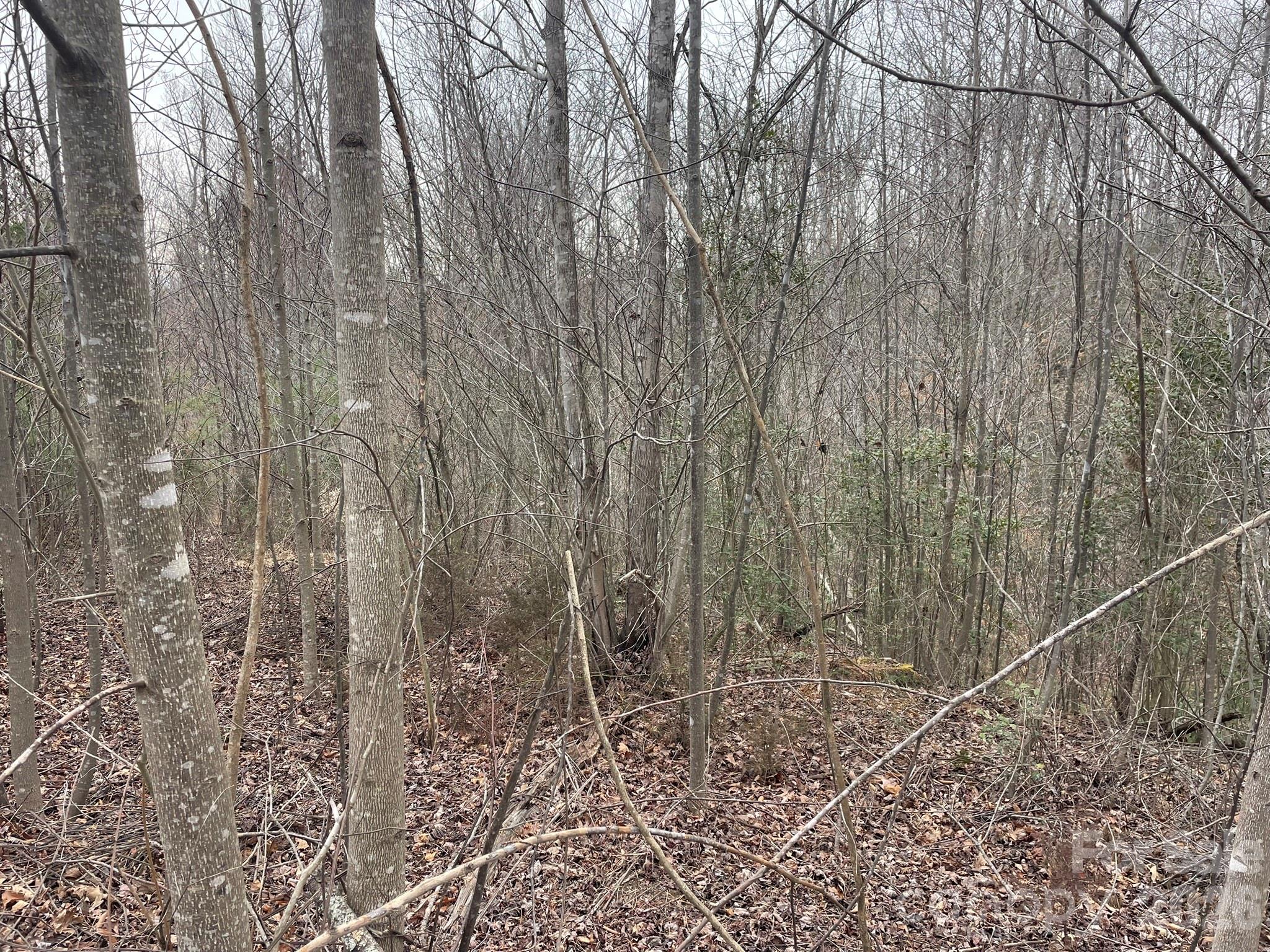 0 Jim Mccall Road Morganton NC 28655