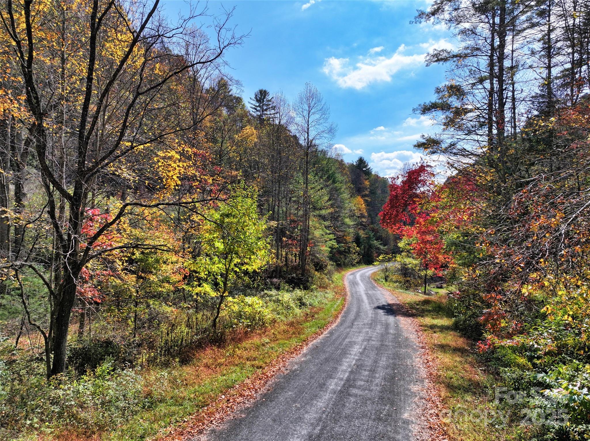 366 Renfro Road Green Mountain NC 28740