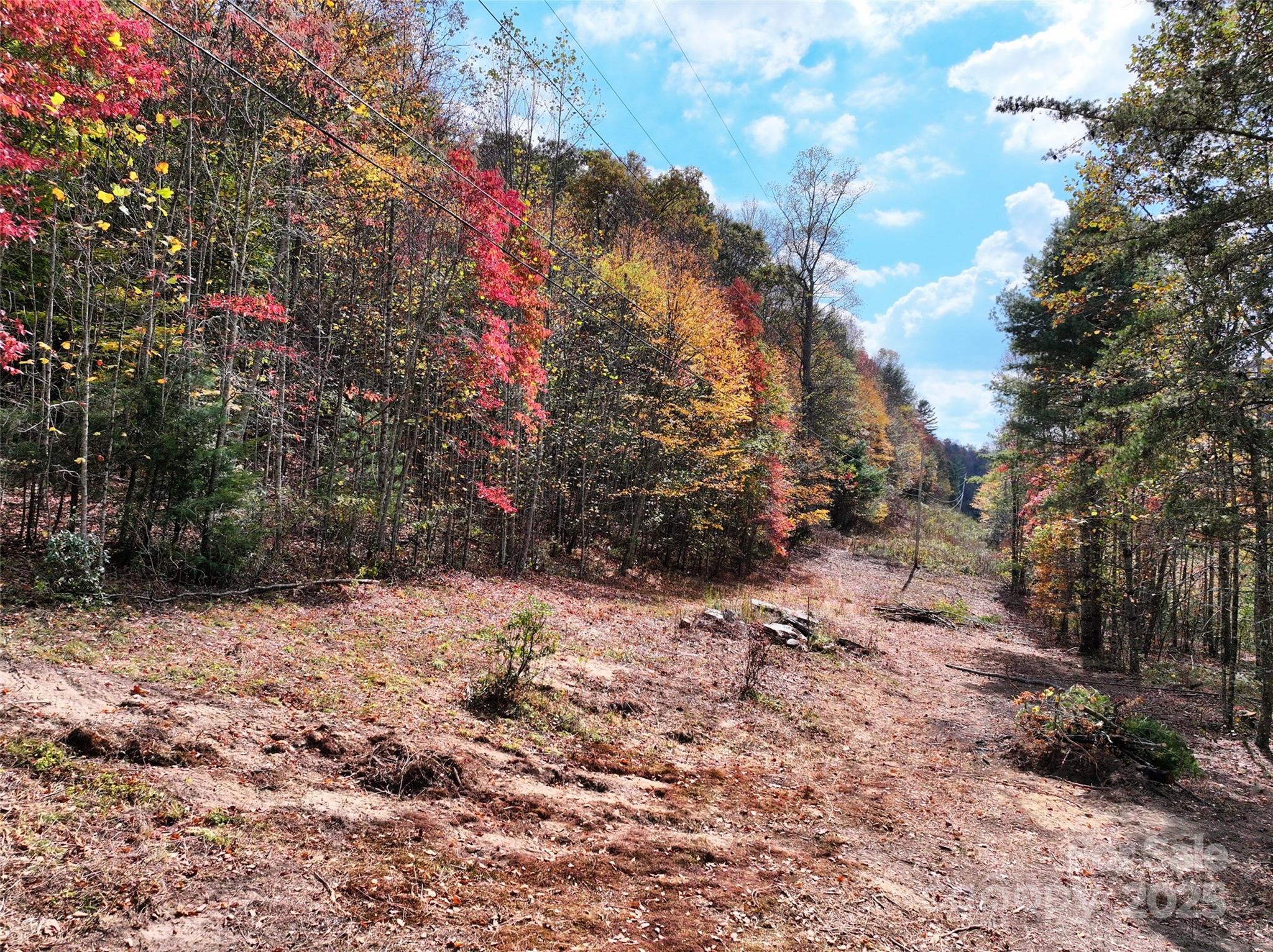 366 Renfro Road Green Mountain NC 28740