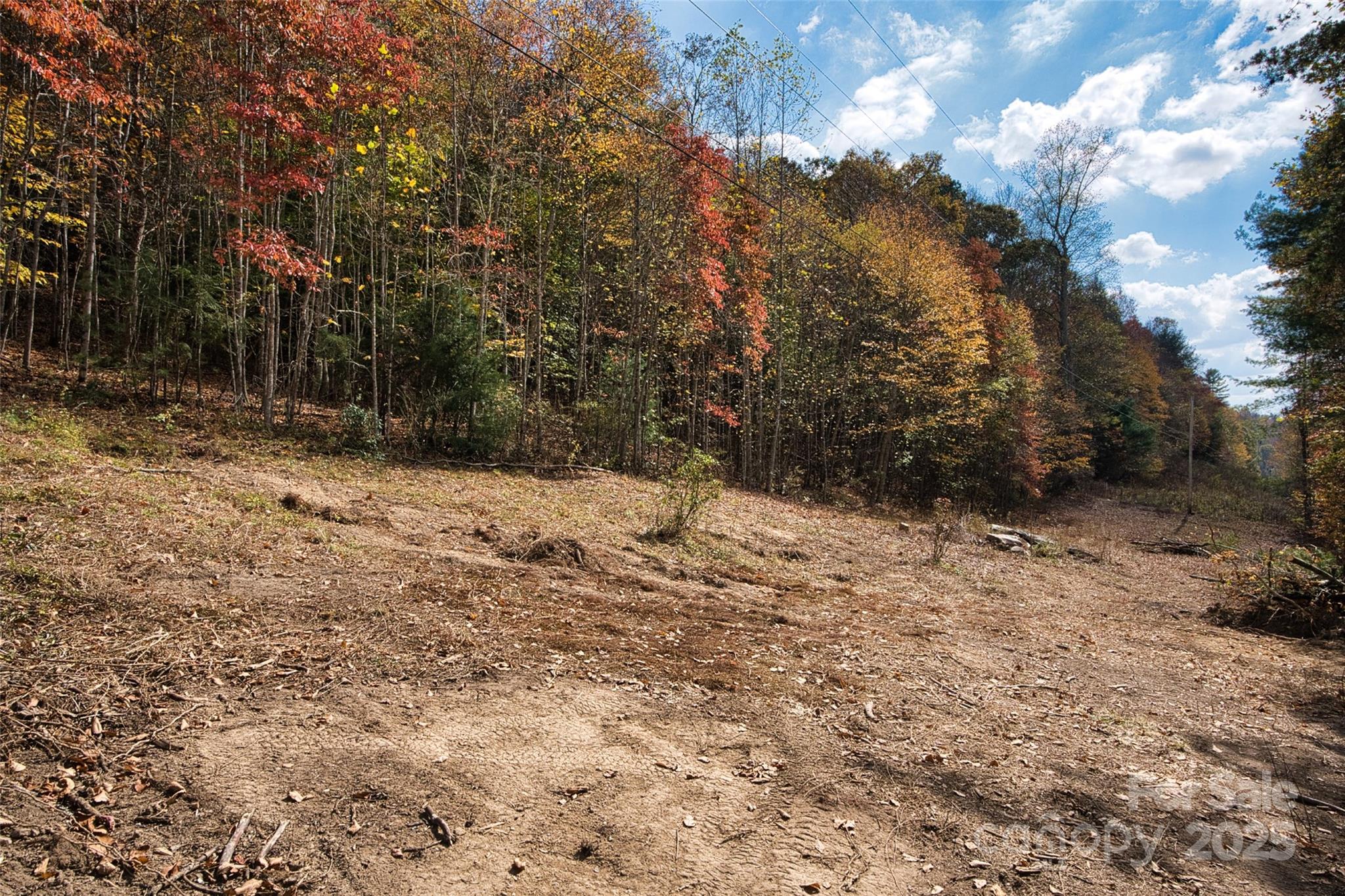 366 Renfro Road Green Mountain NC 28740