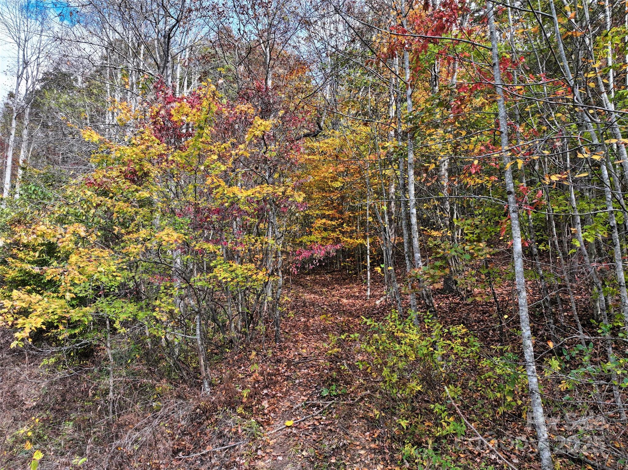 366 Renfro Road Green Mountain NC 28740