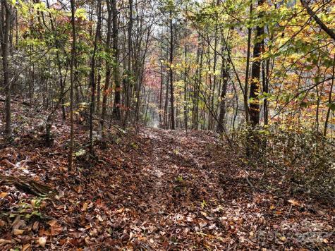 366 Renfro Road Green Mountain NC 28740