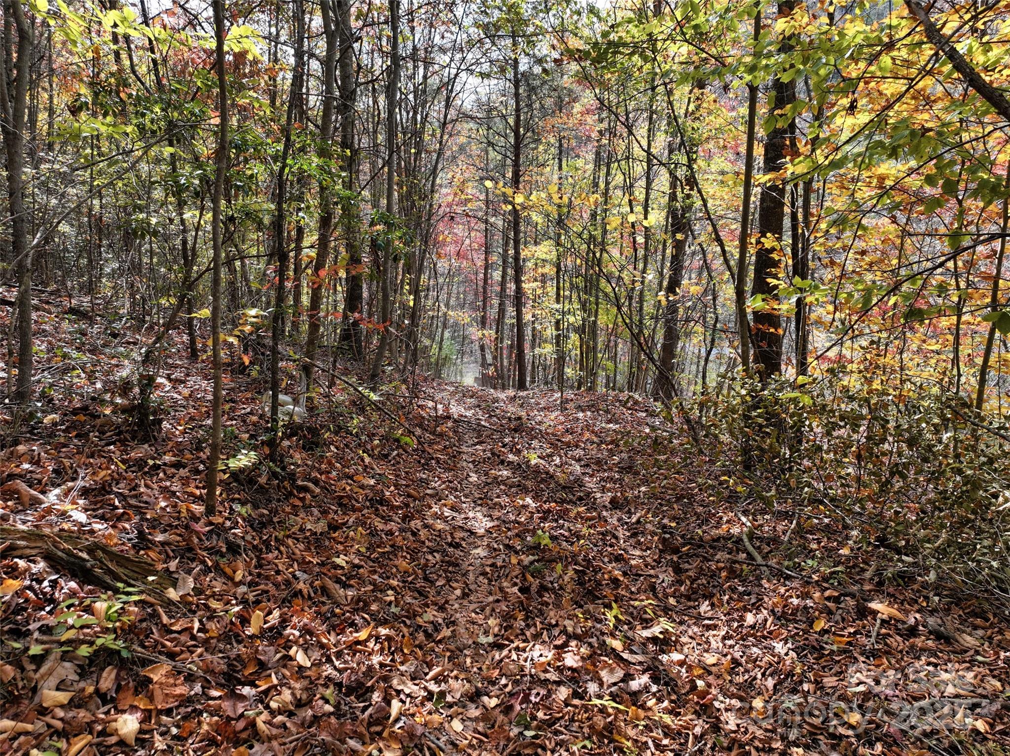 366 Renfro Road Green Mountain NC 28740