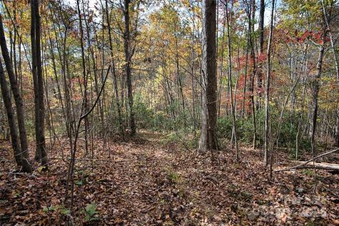 366 Renfro Road Green Mountain NC 28740