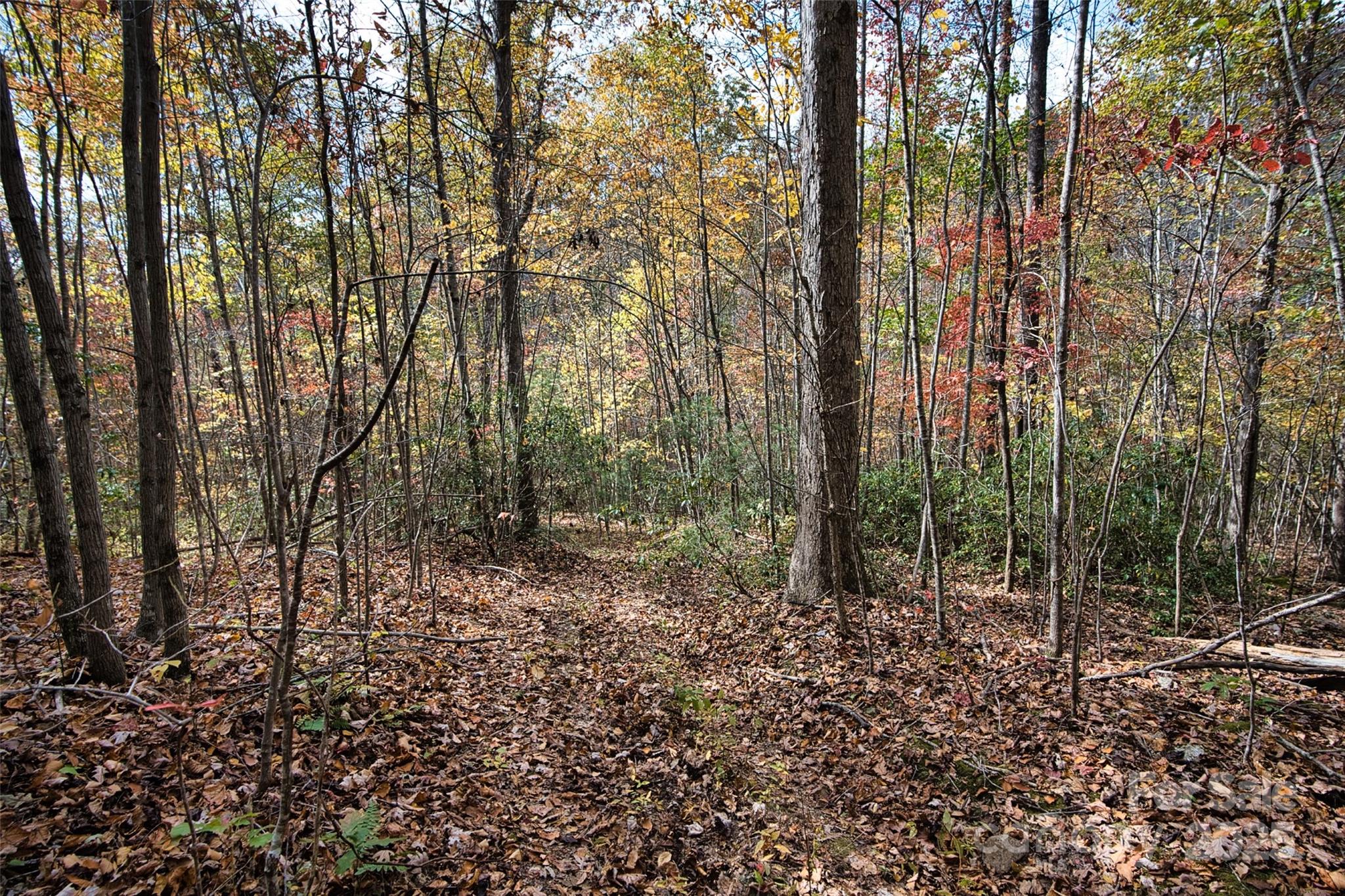 366 Renfro Road Green Mountain NC 28740