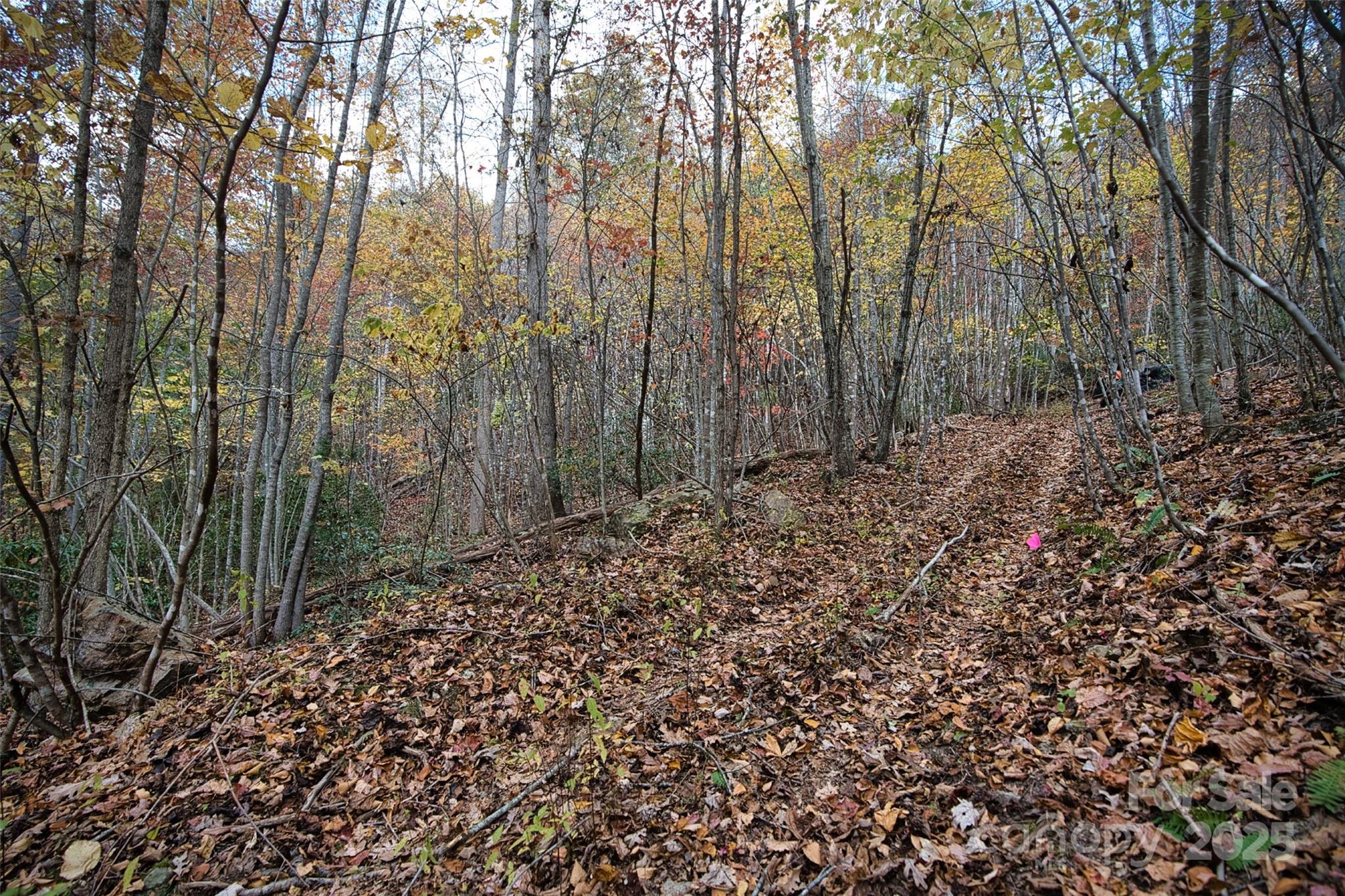 366 Renfro Road Green Mountain NC 28740