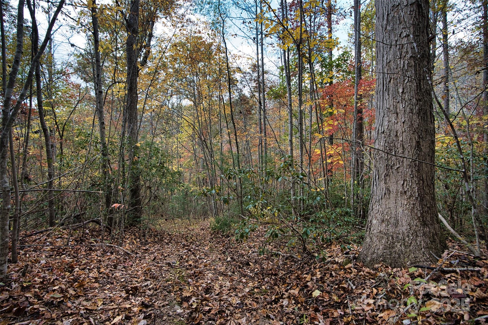 366 Renfro Road Green Mountain NC 28740