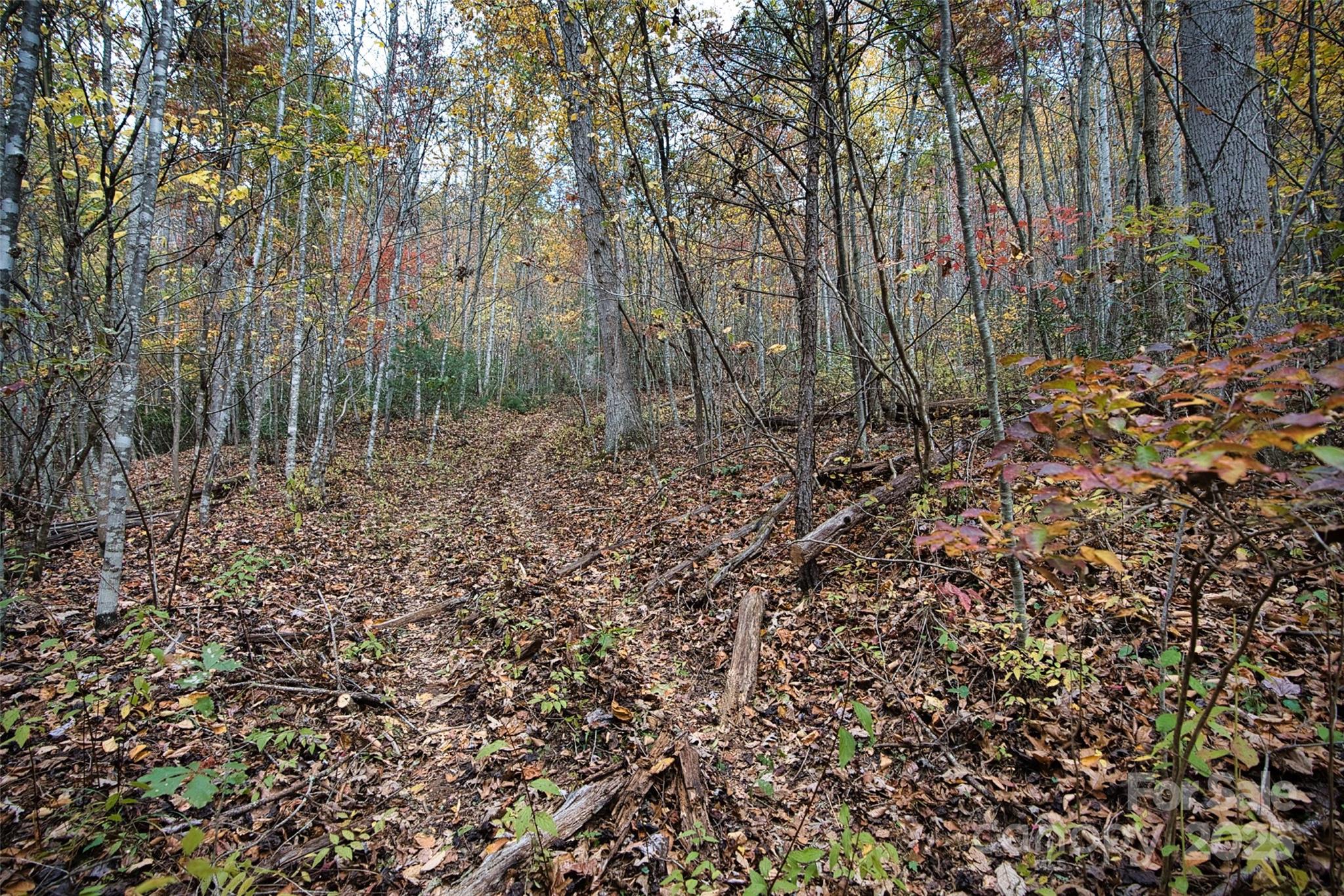 366 Renfro Road Green Mountain NC 28740