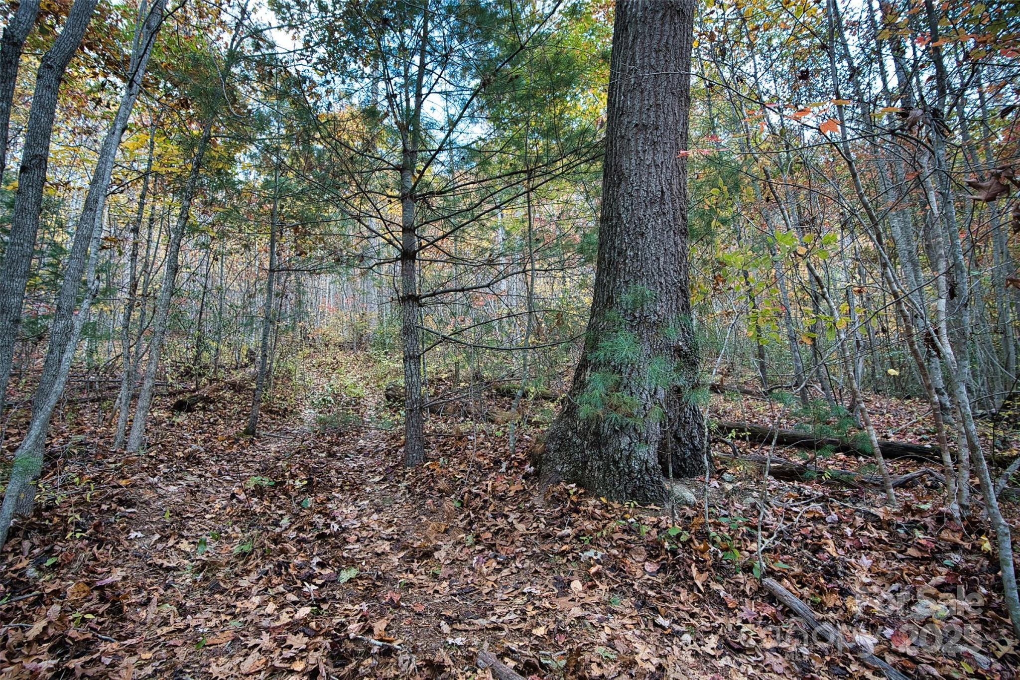 366 Renfro Road Green Mountain NC 28740