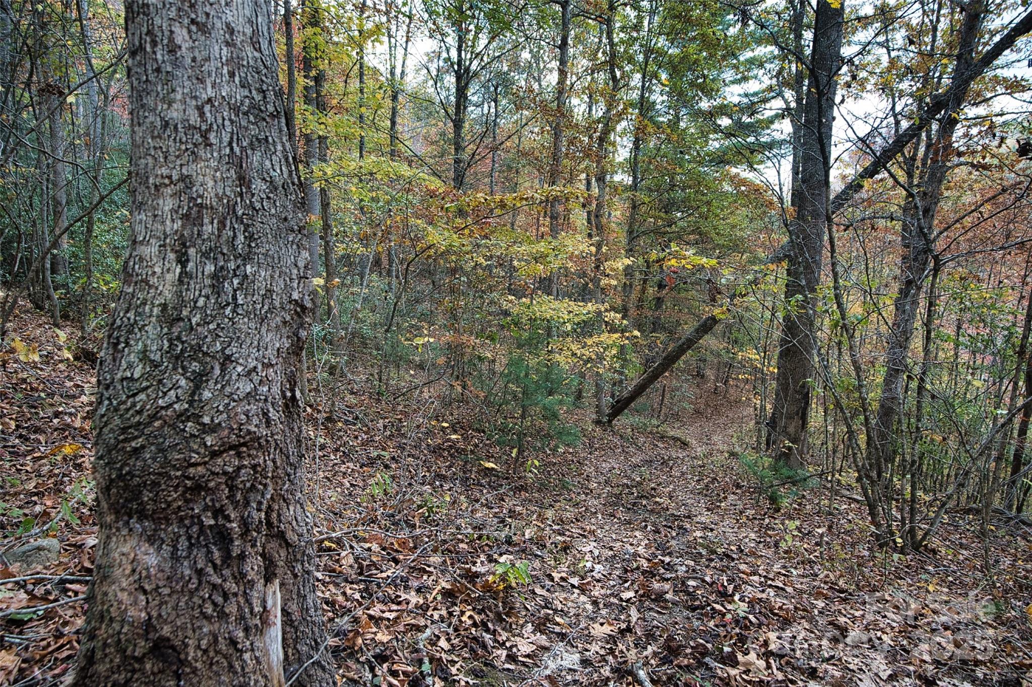 366 Renfro Road Green Mountain NC 28740