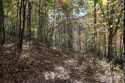 366 Renfro Road Green Mountain NC 28740