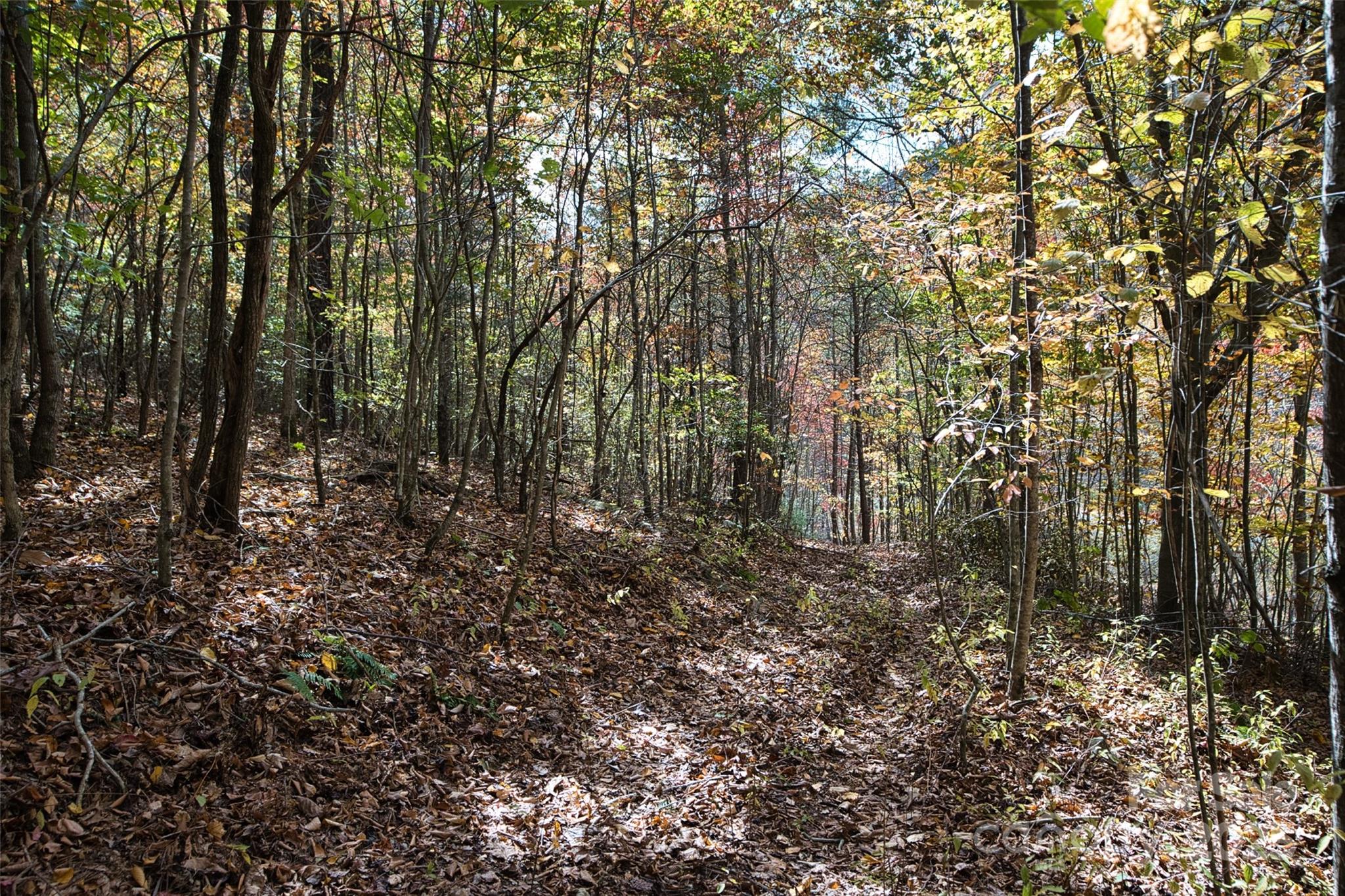 366 Renfro Road Green Mountain NC 28740