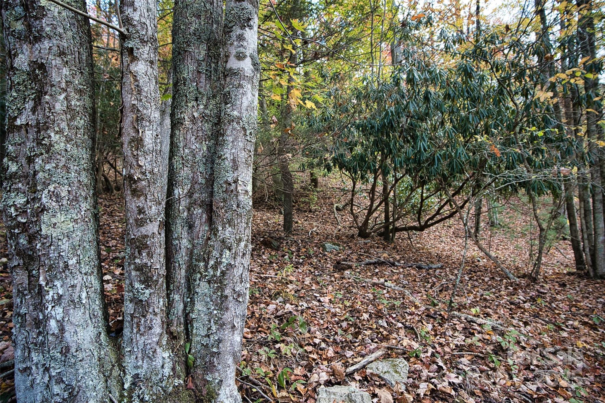 366 Renfro Road Green Mountain NC 28740